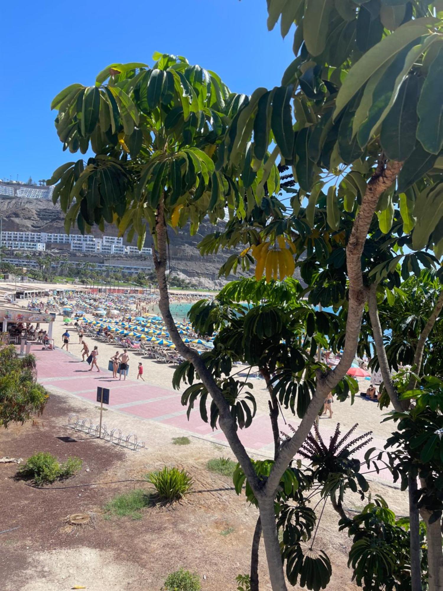Puerto Rico New 2 Bedroom Apart מראה חיצוני תמונה